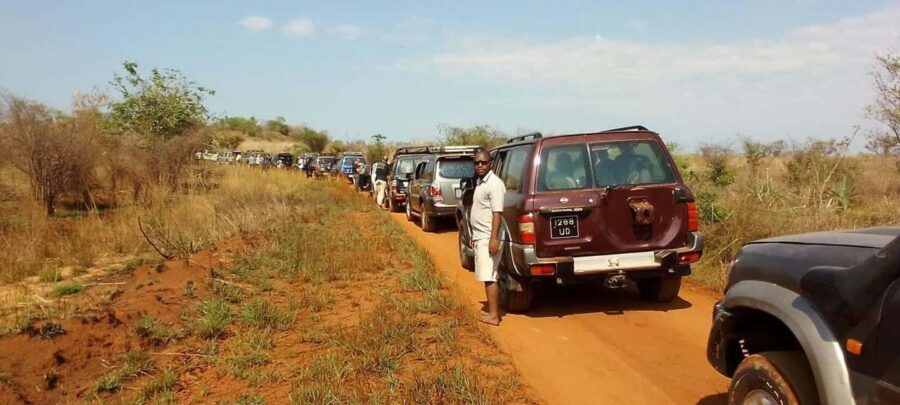 Morondava: 3-Day Safari Tour Tsingy Bemaraha-Baobab avenue - Authentic Experiences and Real Traveler Insights