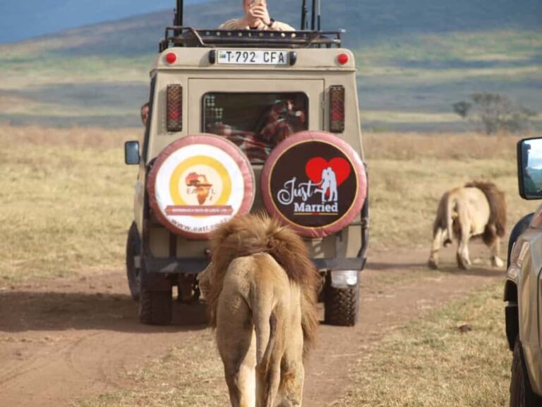 Moshi: 2-Day Lake Manyara and Ngorongoro Safari with Lodging - The Sum Up: Is This Tour a Good Fit?