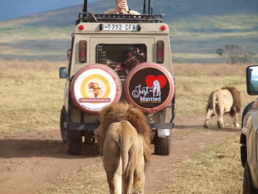 Moshi: 2-Day Lake Manyara and Ngorongoro Safari with Lodging - The Sum Up: Is This Tour a Good Fit?