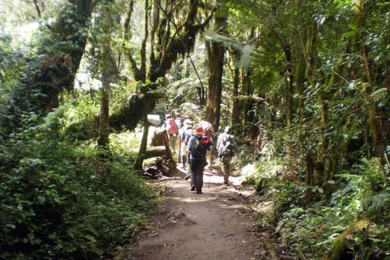 Moshi: 7 Days Rongai Route - A Detailed Look at the 7-Day Rongai Climb