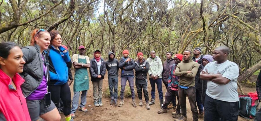Moshi: 8-Day Kilimanjaro Lemosho Route Trek - What Makes This Tour Stand Out?