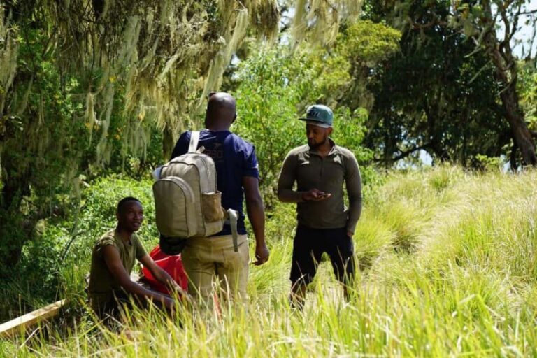 Moshi: *All-inclusive* Kilimanjaro Day Hike (Marangu Route) - A Closer Look at the Kilimanjaro Day Hike