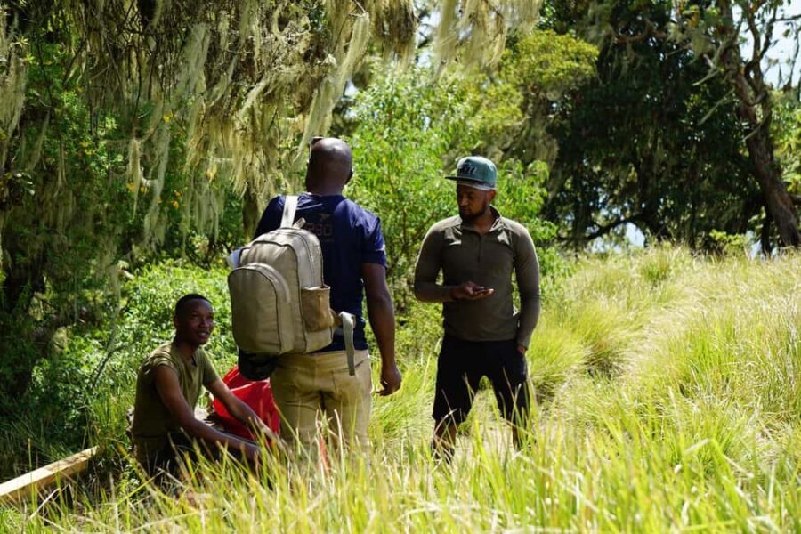 Moshi: *All-inclusive* Kilimanjaro Day Hike (Marangu Route) - A Closer Look at the Kilimanjaro Day Hike
