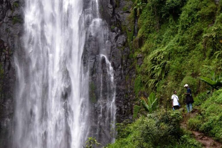Moshi: Bike Tour to Materuni Waterfalls & Coffee Tour - What’s Included and What You Should Know
