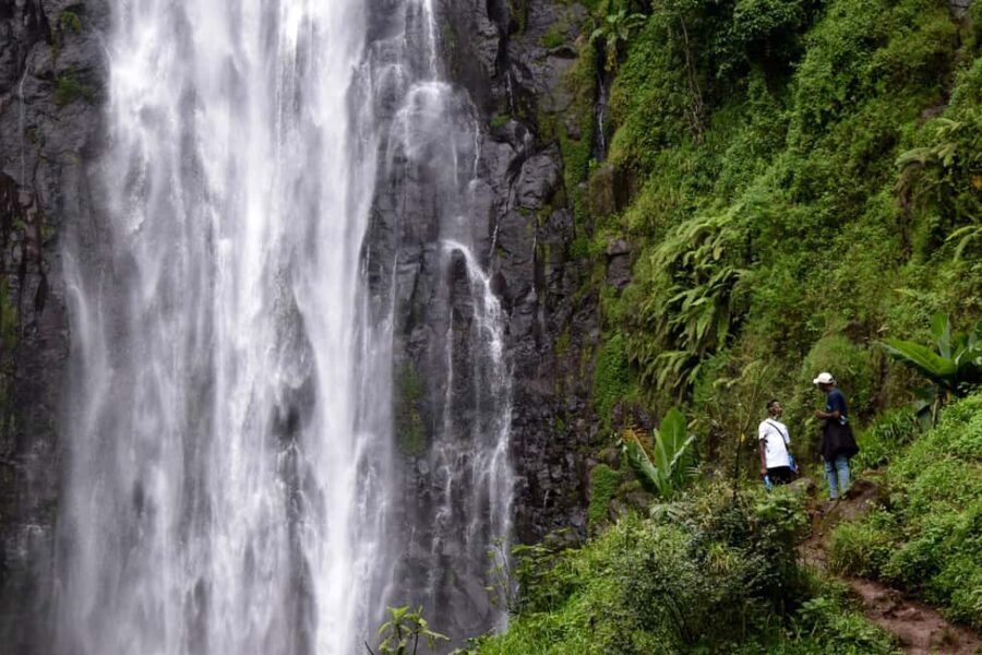 Moshi: Bike Tour to Materuni Waterfalls & Coffee Tour - What’s Included and What You Should Know