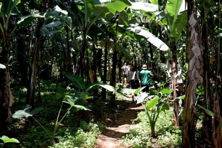 Moshi: Chagga Village Tour - Frequently Asked Questions