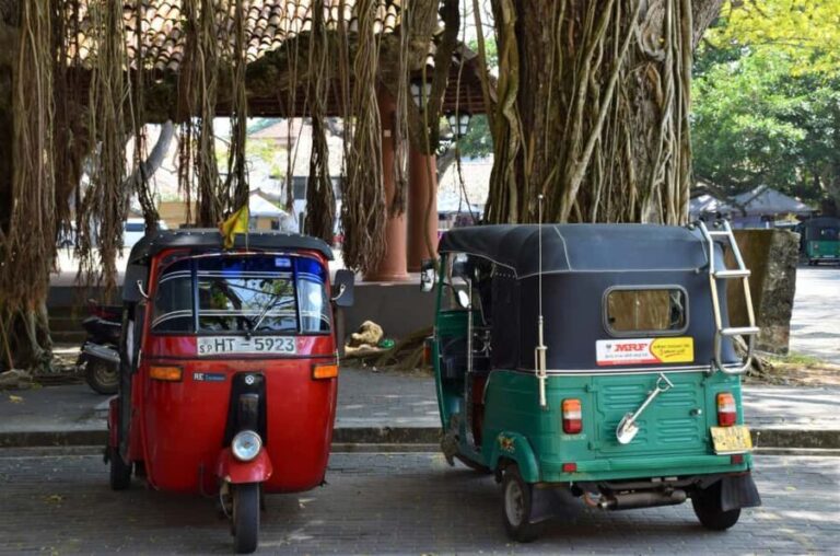 Moshi: Half-Day Town Tour with Lunch - Why This Tour Works Well for Travelers