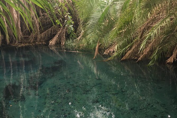Moshi Hotspring - Activities and Features