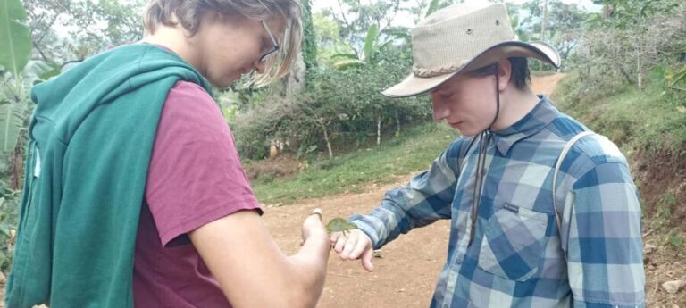 Moshi: Materuni Village and Waterfalls Day Trip with Lunch - Starting the Day: From Moshi or Arusha