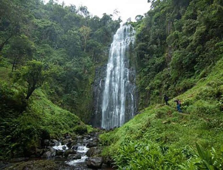 Moshi: Materuni Waterfall and Coffee Tour with Lunch - Authenticity and Value