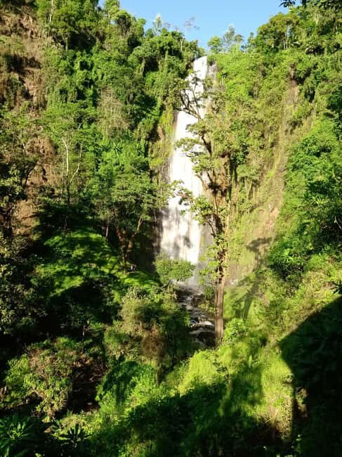Moshi: Materuni Waterfall and Coffee Tour with Lunch - Key Points