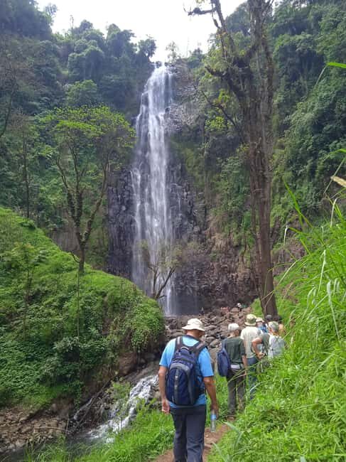 Moshi: Materuni Waterfall and Kikuletwa Hot Springs Day - A Close Look at the Experience