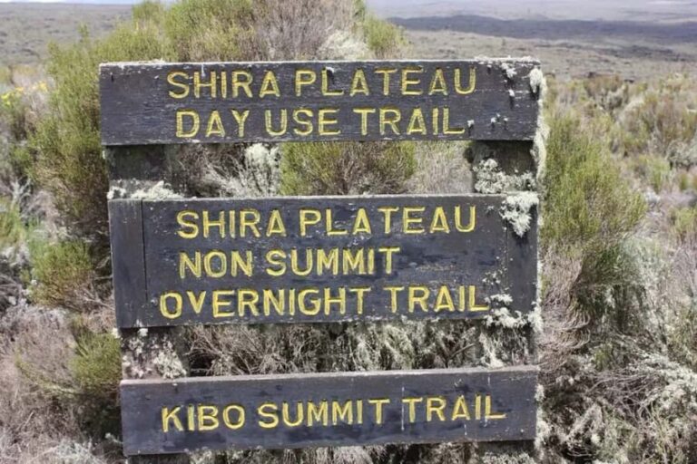 Moshi: Shira Plateau Day Trip with Hike and Scenic Drive - The Itinerary Breakdown