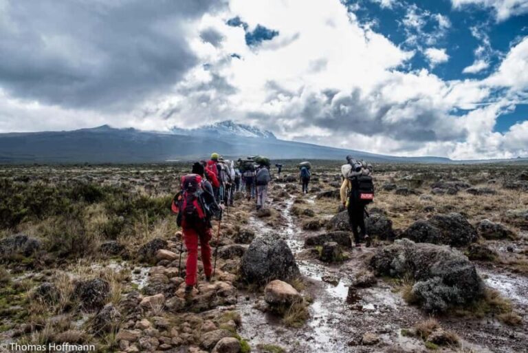 Moshi:Mount Kilimanjaro Day Hike with Mandara Hut Trek - Whats Included and Whats Not