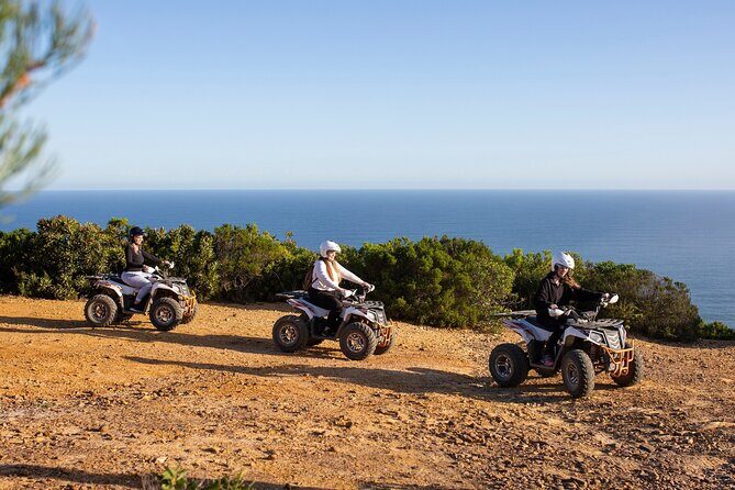 Most Exciting Adventurous Activities and the Only Quadbike Tours in Tsitsikamma - Final Thoughts