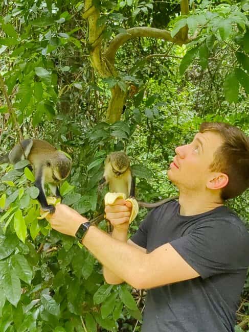 Mount Afadjato, Wli fall, and Tafi Atome Monkey Sanctuary