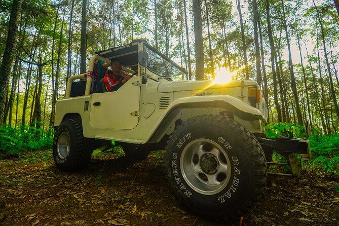 Mount Batur Trekking by 4wd Jeep - The Logistics and What to Expect