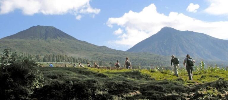 Mount Bisoke Hike in Volcanoes National Park - The Itinerary and What to Expect