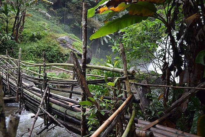 Mount Doi Inthanon National Park Sunrise and Hiking - What the Reviews Reveal