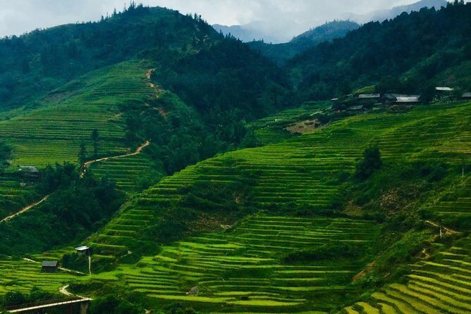 Mount Fansipan Hike 1 Day The Roof Of Indochina - An In-Depth Look at the Mount Fansipan Hike
