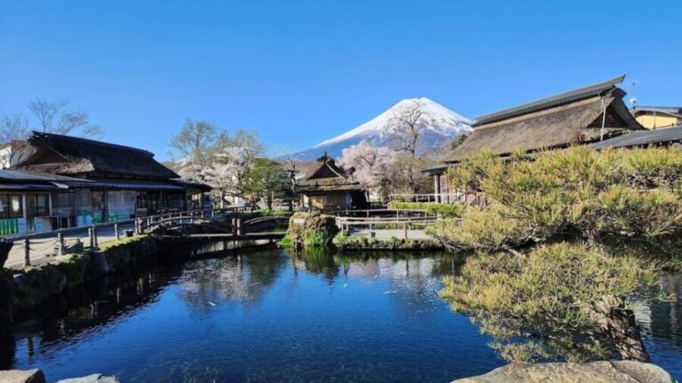 Mount Fuji and Hakone Day tour with English speaking Drivers - The Real Value of This Tour