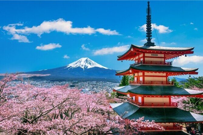 Mount Fuji and Hakone Private Tour by Car with Pickup from Tokyo - What Reviewers Say: Authentic Experiences and Tips