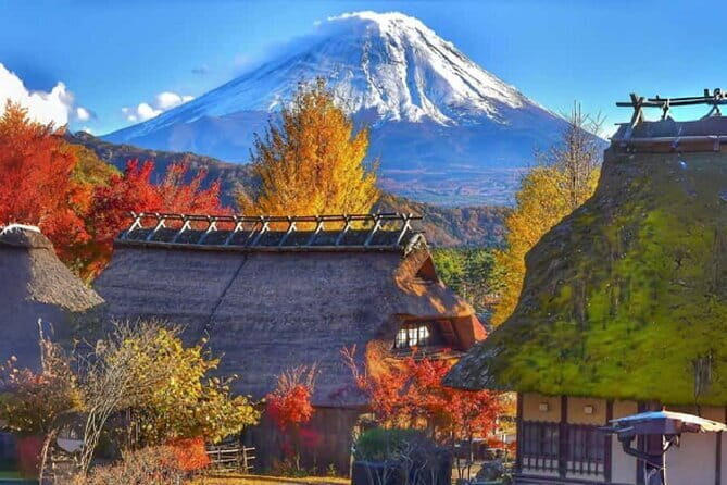 Mount Fuji Day Tour:Scenic Lakes,Village, Pagoda,Oshino Hakkai - How the Tour Works: Transport, Guide, and Practicalities