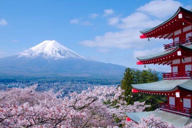 Mount Fuji Full Day Customize Private Tour with English Guide - What We Loved About the Tour