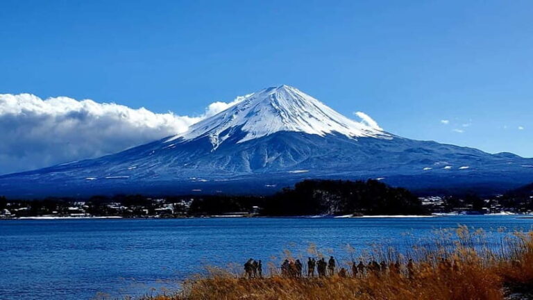 Mount Fuji Full-Day Private Tour from Tokyo (Customizable) - What’s Included and What to Consider