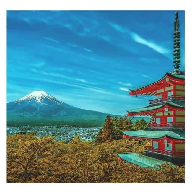 Mount Fuji Full Day Private Tour from Tokyo Full Customized - What to Expect on the Tour