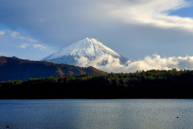 Mount Fuji Full-Day Private Tour from Yokohama Port Customizable - Transportation and Value