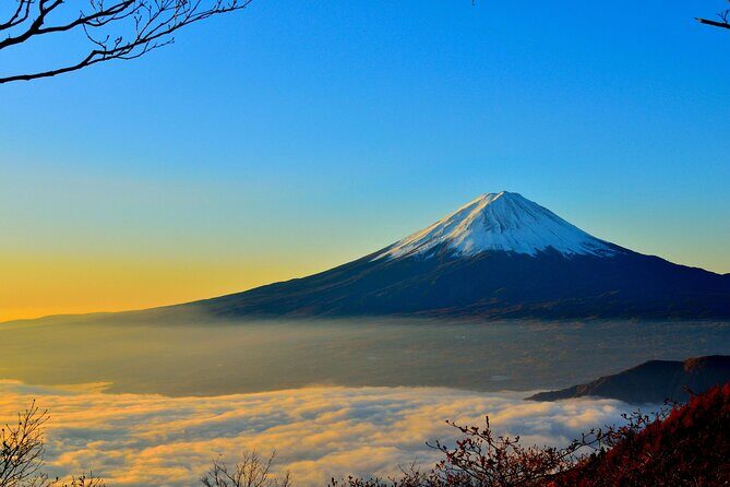Mount Fuji (Mt. fuji) private tour by car with pickup from Tokyo - Practical Considerations