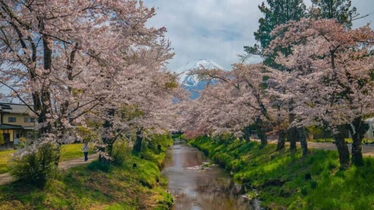 Mount Fuji Private Tour With English Speaking Driver/Guide - The Iconic Chureito Pagoda
