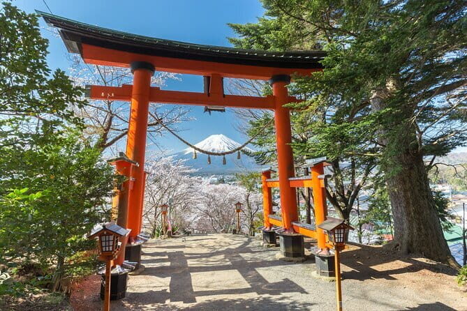 Mount Fuji Sightseeing Private tour w English speaking chauffeur - What Travelers Say