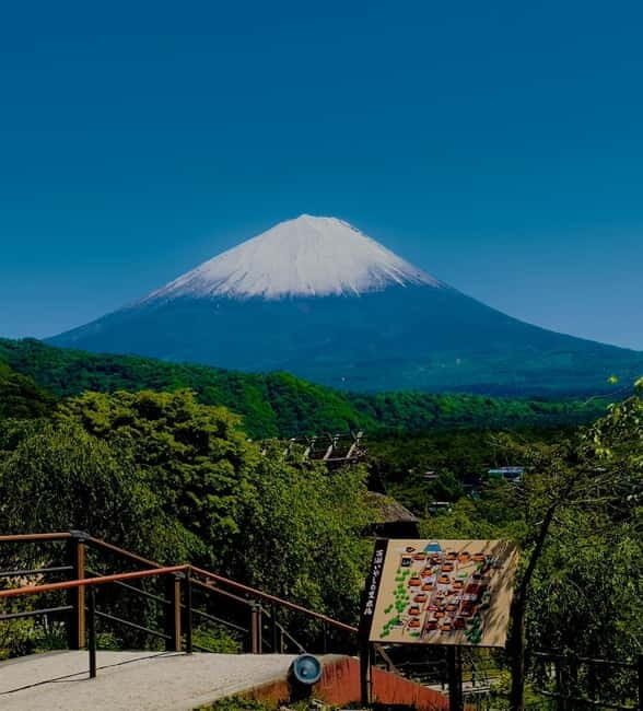 Mount Fuji VIP & Luxury Customise One Day Tour. - A Closer Look at the Itinerary and Highlights