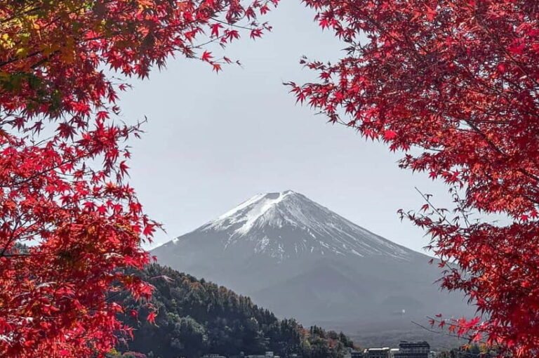 Mount Fuji,Lake Kawaguchiko Private Tour By Car With Pick Up - What to Expect During Your Day