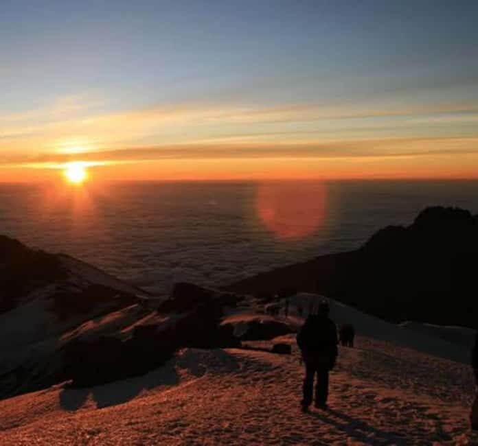 Mount Kilimanjaro: 7 Days Trekking - Lemosho Route - Day 1: Into the Forests - Lemosho Glades to Big Tree Camp