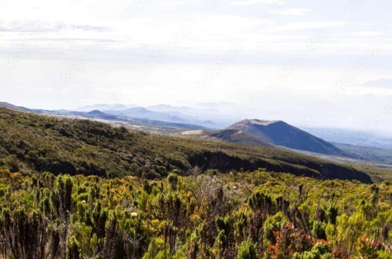 Mount Kilimanjaro Day-hike through marangu gate - What’s Included and What’s Not