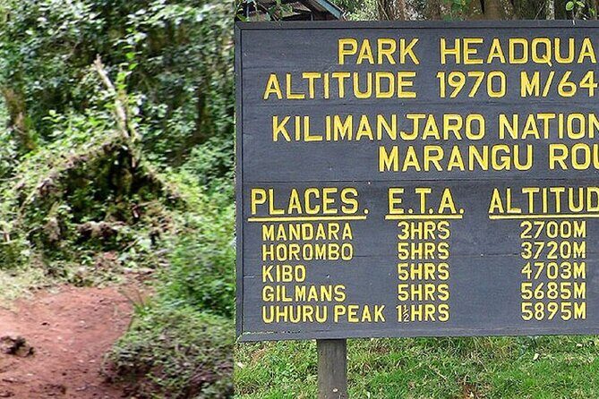 Mount Kilimanjaro Day Hike Through Marangu Route to Mandara Hut - The Sum Up