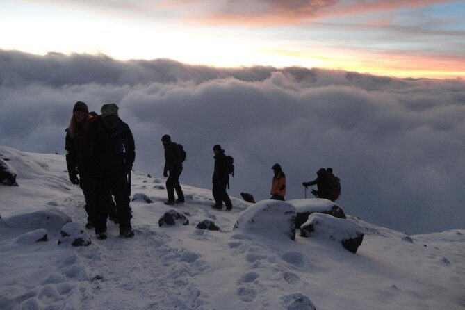 Mount Kilimanjaro Trek 7-Days: Lemosho Route - A Day-by-Day Breakdown of the Itinerary