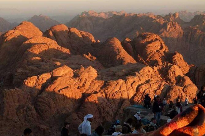 Mount Sinai Tour - The Full Experience: A Step-by-Step Breakdown