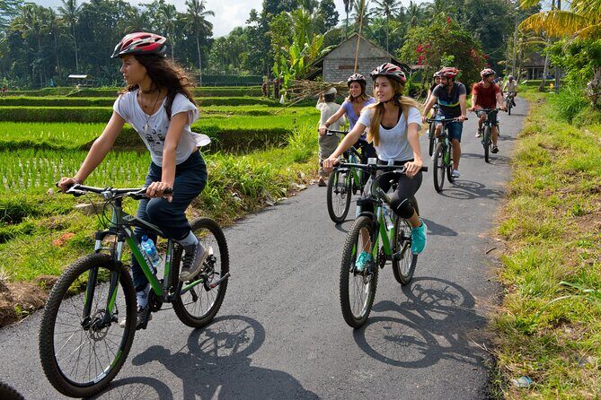 Mountain Cycling Tour - The value of this experience