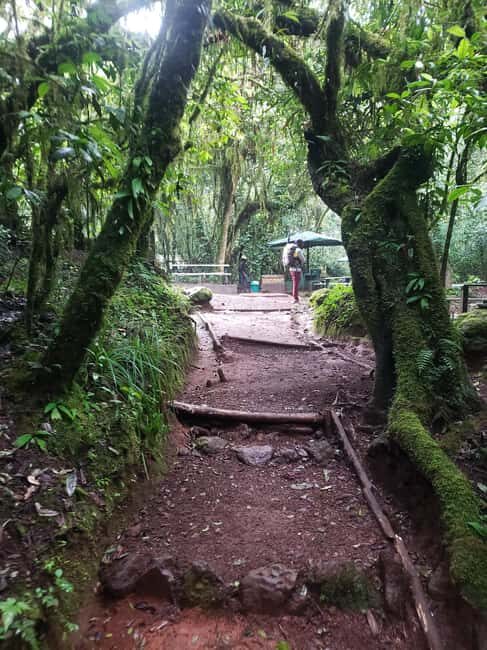Mountain Kilimanjaro Day Hike - FAQs