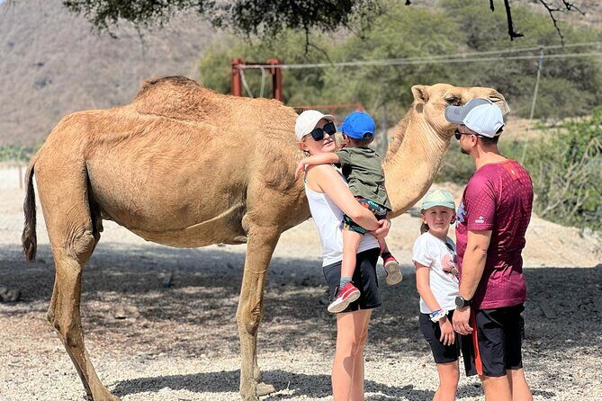Mountain Safari, Camels, waterfalls & lunch (Group Tour) - Who Will Love This Tour?