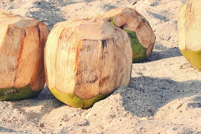 Mozambique Food and Culture Tour - Final Thoughts: Is This Tour Right for You?