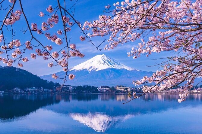 Mt. Fuji and Hakone Private Tour with English Speaking Driver - Authentic Experiences and Guest Feedback