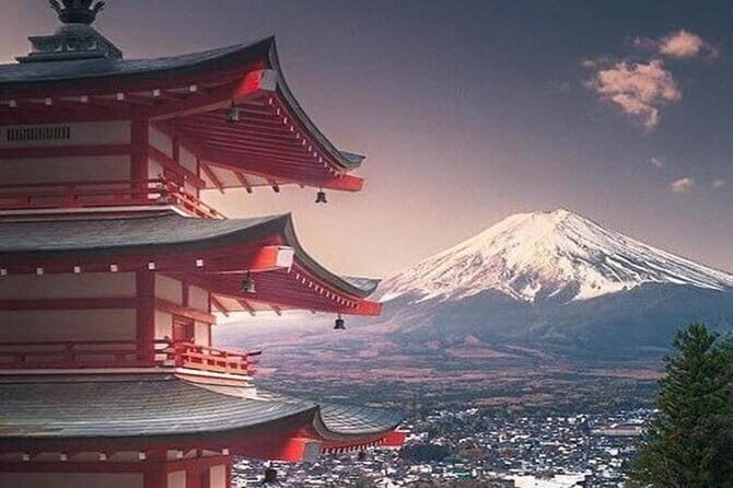 Mt. Fuji and Hakone Private Tour with English Speaking Driver - The Itinerary in Detail: What to Expect