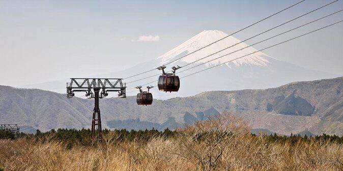 Mt. Fuji and Hakone Private Tour with English Speaking Guide - What You Get with This Tour