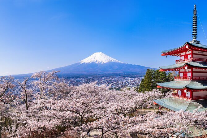 Mt.Fuji and Hakone Tour - Considering the Cost and Value