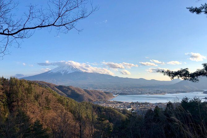 Mt Fuji Area Private Guided Tours in English-Nature up close, quiet, personal - Final Thoughts: Who Will Love This Tour?